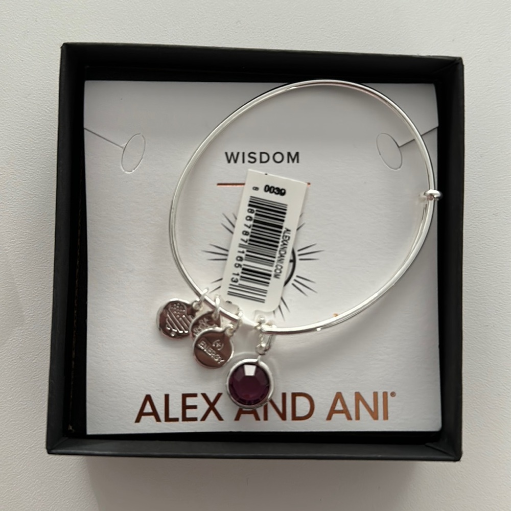 Alex and ani wisdom bangle